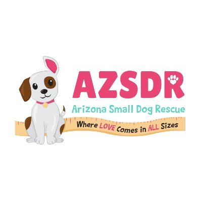 Arizona Small Dog Rescue Azsdrescue Twitter