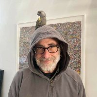 Birdbrains (@dsbreger) Twitter profile photo