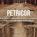 Petricor (@petrico68062399) Twitter profile photo Petricor (@petrico68062399) Twitter profile photo