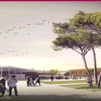 LP Montel (@lp_montel) 's Twitter Profile