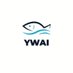 YWAI (@ywaiaep) Twitter profile photo YWAI (@ywaiaep) Twitter profile photo