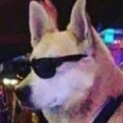 alkivo's profile picture. Up yours Wansou 💙💛