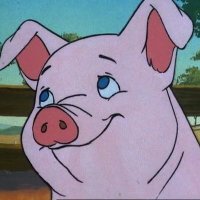 piggybrian (@piggybrian1) 's Twitter Profile