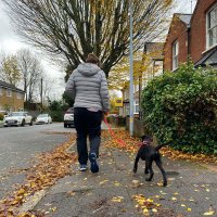 Gill Laird 🏴󠁧󠁢󠁳󠁣󠁴󠁿 (@laird154) 's Twitter Profile