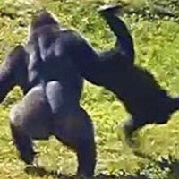 Ben (@ben54001544) 's Twitter Profile