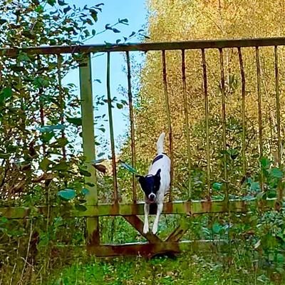 SpassundT's profile picture. 