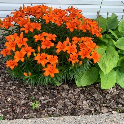 EdithOFlaherty1's profile picture. 