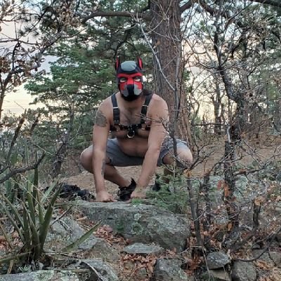 Wolf cub, guard dog, Sir. 18+only. hypno,  switch, enslavement, leather, BDSM, pup play, and what gets me off. proudly owned and locked by a feral Tiger @boypet