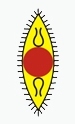 natconspicmacay's profile picture. The Society for the Promotion of Indian Classical Music And Culture Amongst Youth, often known by its initials (SPIC MACAY), is a non-profit organization.