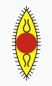 The Society for the Promotion of Indian Classical Music And Culture Amongst Youth, often known by its initials (SPIC MACAY), is a non-profit organization.