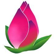 Shal_Schematics's profile picture. 