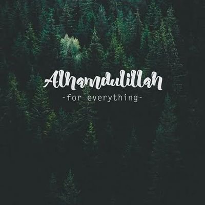 gmhzamee's profile picture. 