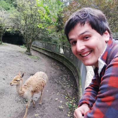 cesarlr91's profile picture. 