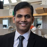 Ashish A. Kulkarni (@thekulkarnilab) 's Twitter Profile