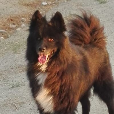 jjobserver_11's profile picture. 