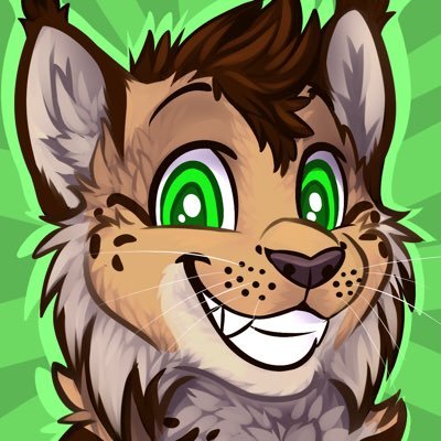 lvl 32 snynx | he/they | 🏳️🌈 | bff @daniwritescode | software engineer | Unix&z/OS | metalhead | vegetarian | icon by @LordPulex