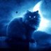 Mystiknemesis (@mystiknemesis1) Twitter profile photo Mystiknemesis (@mystiknemesis1) Twitter profile photo