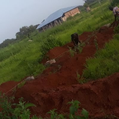 doulie46501068's profile picture. listen to God this may be a tast