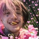 Sandra Wittmann - @SandraWittmann7 - Twitter