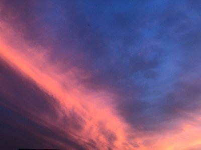 ASoftchair's profile picture. 