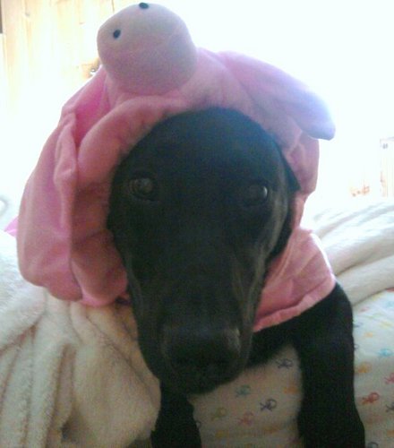 AlliHamm's profile picture. 