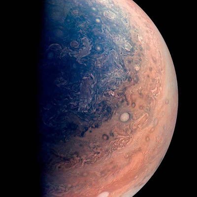 dorado_pescado's profile picture. 