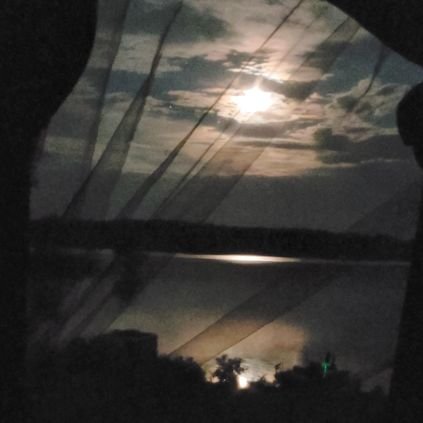 midwest_doll's profile picture. 