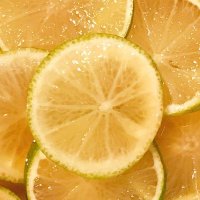 ぬん (@bottitti8) Twitter profile photo