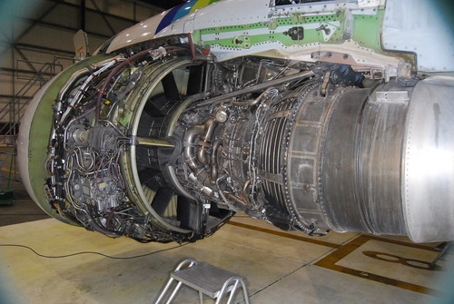 M_KZRS's profile picture. Dad, Aircraft Doctor, with 54.000 Lbs of Thrust at his disposal, enjoying life.......