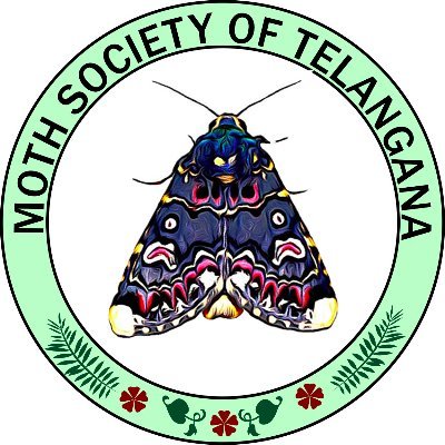 Official Twitter handle of Moth Society of Telangana