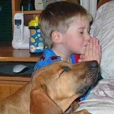 effimi1's profile picture. Nature loving