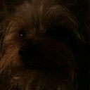 Michelle Kaster - @mkaster87 - Twitter