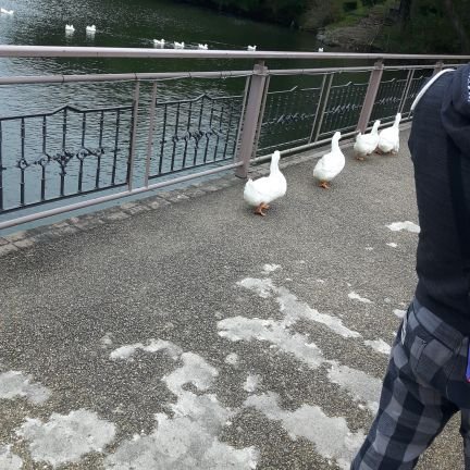 torao_prog's profile picture. 30代からプログラミング勉強してみます。
とはいえ、まずHTML,CSSから始めます。
Web制作で案件が取れるように頑張りたいと思います。
自分なりに情報を収集して勉強を進めているのでDM等で勧誘を控えていただくようにお願いいたします。
関東圏内を走り回るトラックドライバー。