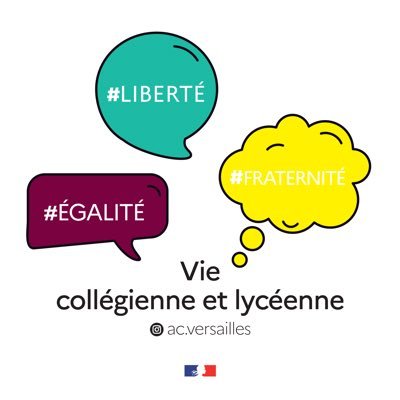 Compte officiel de la vie lycéenne et collégienne de l’académie de Versailles. #CVL #CVC #CAVL #EcoDélégués #Engagement