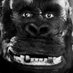 BAD NIGGER 🇰🇵🇨🇺🇻🇪🇵🇸🇮🇷 (@fake__monkey) Twitter profile photo BAD NIGGER 🇰🇵🇨🇺🇻🇪🇵🇸🇮🇷 (@fake__monkey) Twitter profile photo