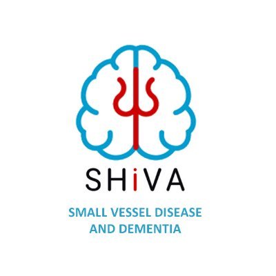 #SHiVA project : Development of personalized management of cerebral Small Vessel Disease. PIA ANR-18-RHUS-0002 #cSVD #Dementia @univbordeaux