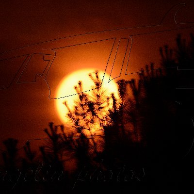 angelin62's profile picture. Dicas, comentarios, pitacos sobre varias coisas que afetam e ajudam no dia a dia, quando inspirado !!! #vaffanculo