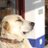 Twitter profile