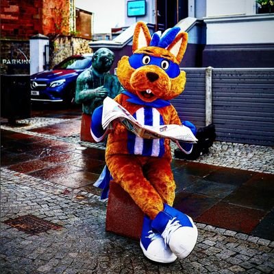 official mascot of Kilmarnock FC