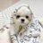 thetiny1004's profile image