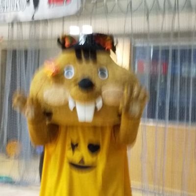 県美が好き🖼️写真が好き🎞️📷 
ワッツが好き🐿️🏀