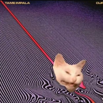 Kociamber's profile picture. BJJ nerd.