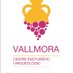 Vallmora Enoturisme (@vallmorae) Twitter profile photo