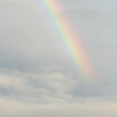 クリニックなんとか経営中。どんどんいろいろなことをやりたいけど疲れてできない。分身が3つくらいあればいい。