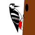Shaftesbury Bird and Wildlife Group (@shaftesburybwg) Twitter profile photo Shaftesbury Bird and Wildlife Group (@shaftesburybwg) Twitter profile photo