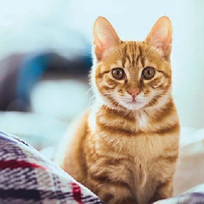 oillz9's profile picture. wow