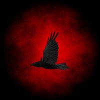Rave (@ltsrave) 's Twitter Profile