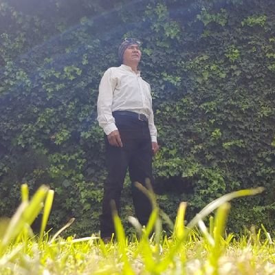 Jormarcsalas's profile picture. 