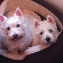 Steven Penn - @ste1adpennlowe - Twitter