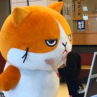 GINBIS__'s profile picture. 